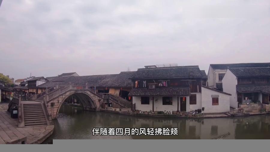 猫爷有新招?—喜欢我为什么不直接表白呢?问答平台